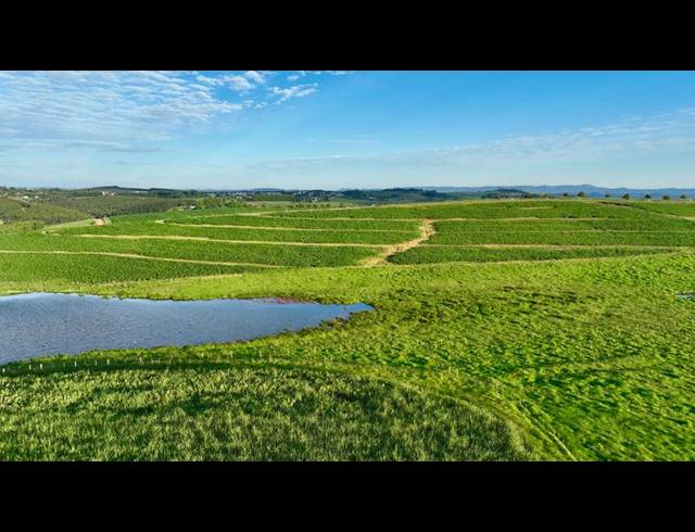 LAND FOR SALE IN MOUNT VERDE